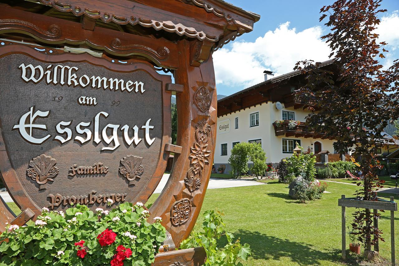 Appartments Am Esslgut Haus im Ennstal Exterior photo
