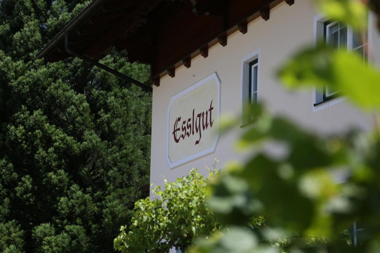 Appartments Am Esslgut Haus im Ennstal Exterior photo